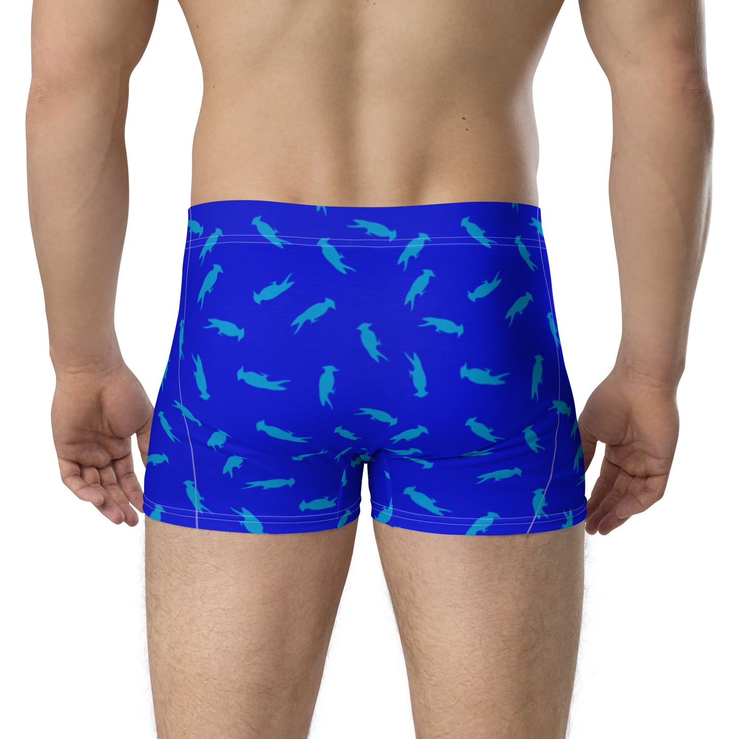 Pecker Pride Blue Boxer Briefs