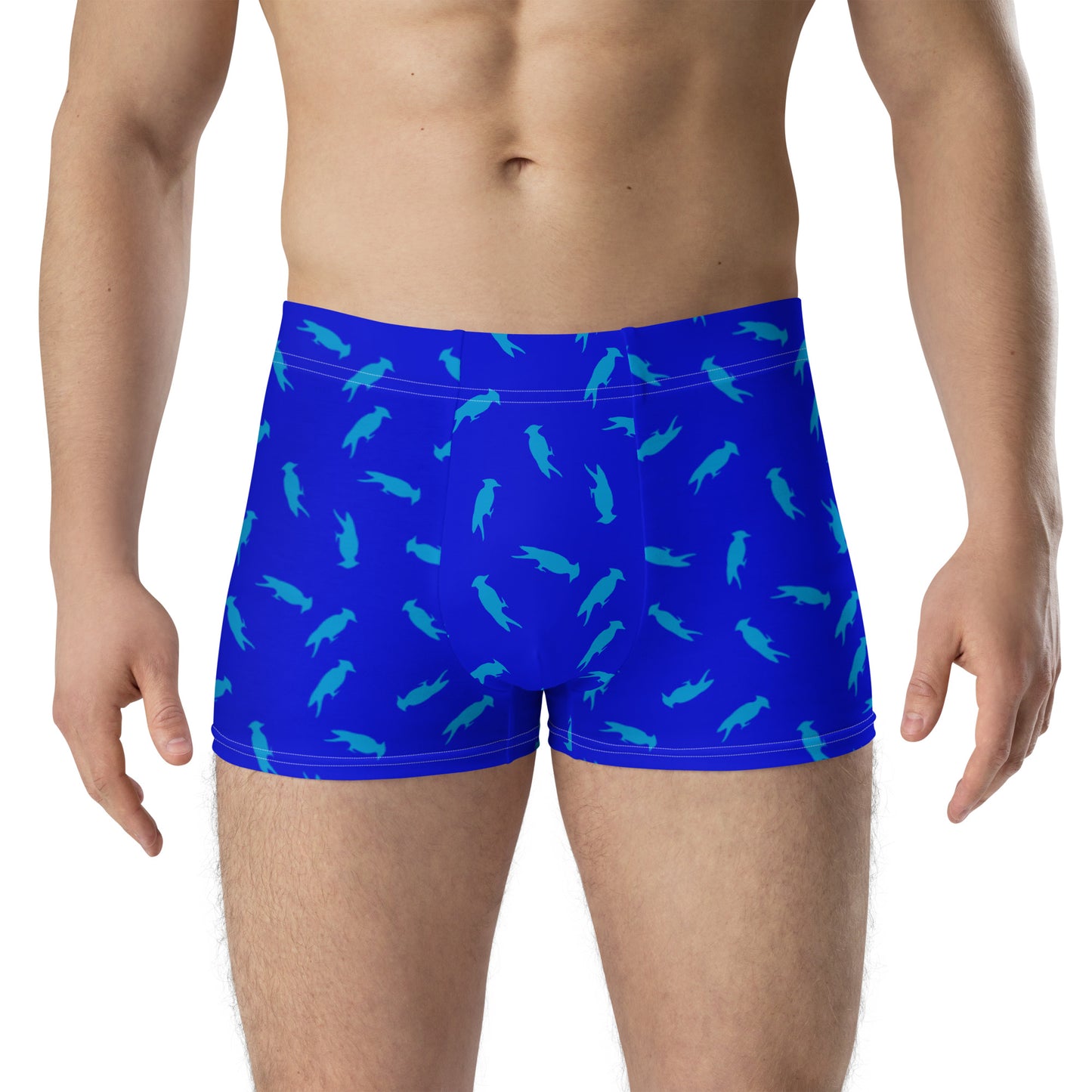 Pecker Pride Blue Boxer Briefs