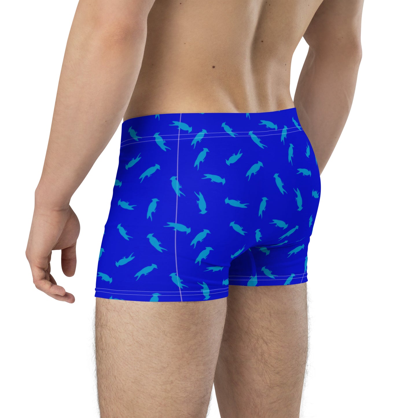 Pecker Pride Blue Boxer Briefs