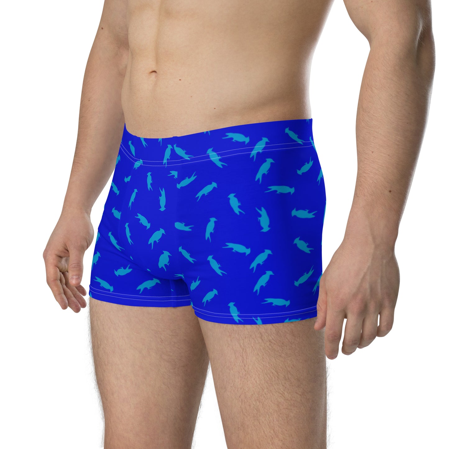 Pecker Pride Blue Boxer Briefs