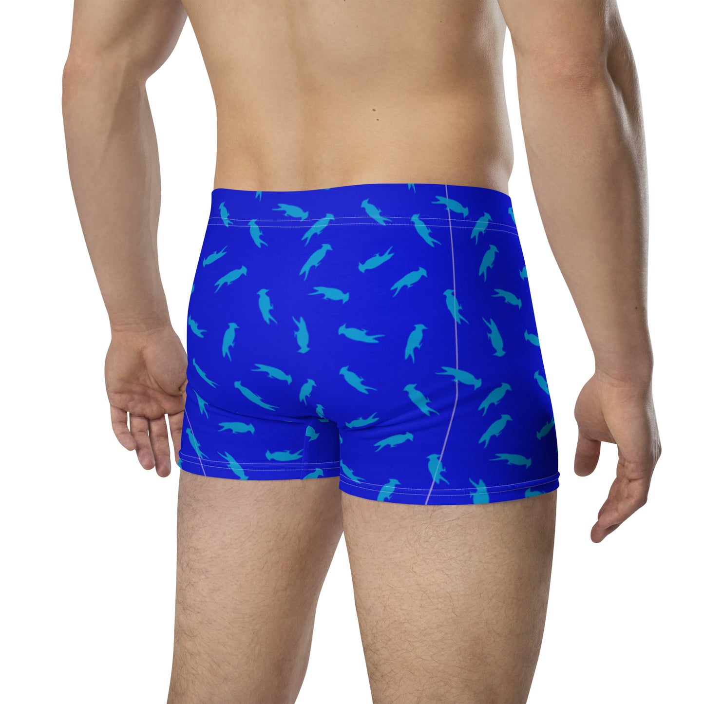 Pecker Pride Blue Boxer Briefs