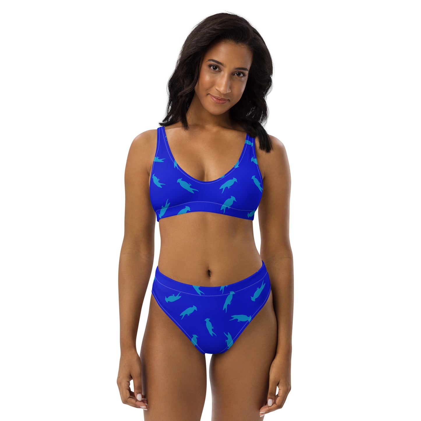 Pecker Pride Recycled High-Waisted Bikini